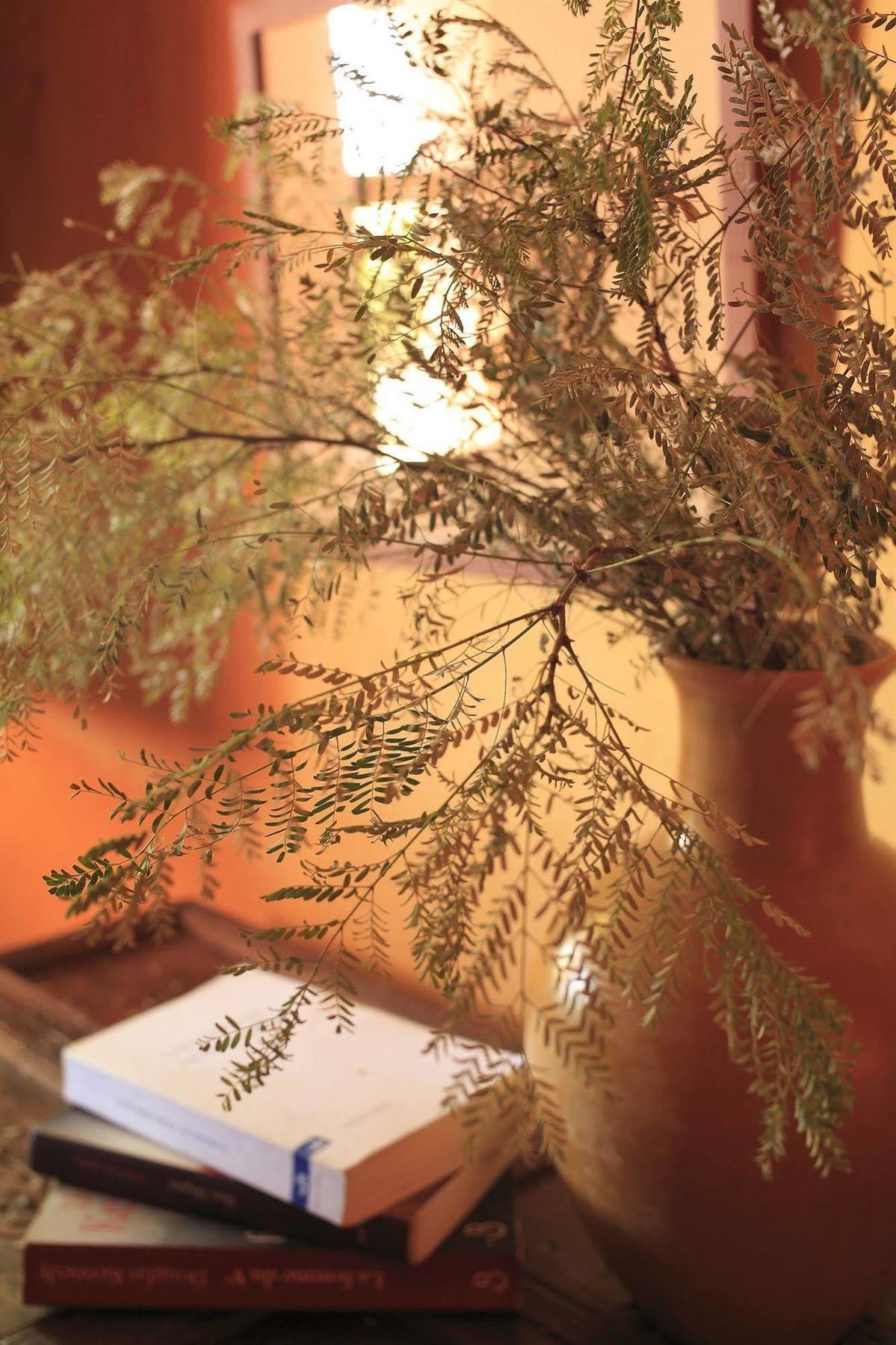 Bed and Breakfast Le Jardin Des Douars Al Ghar Esterno foto